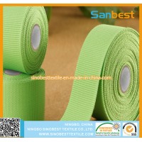 Colorful Polyester Webbing for Garments